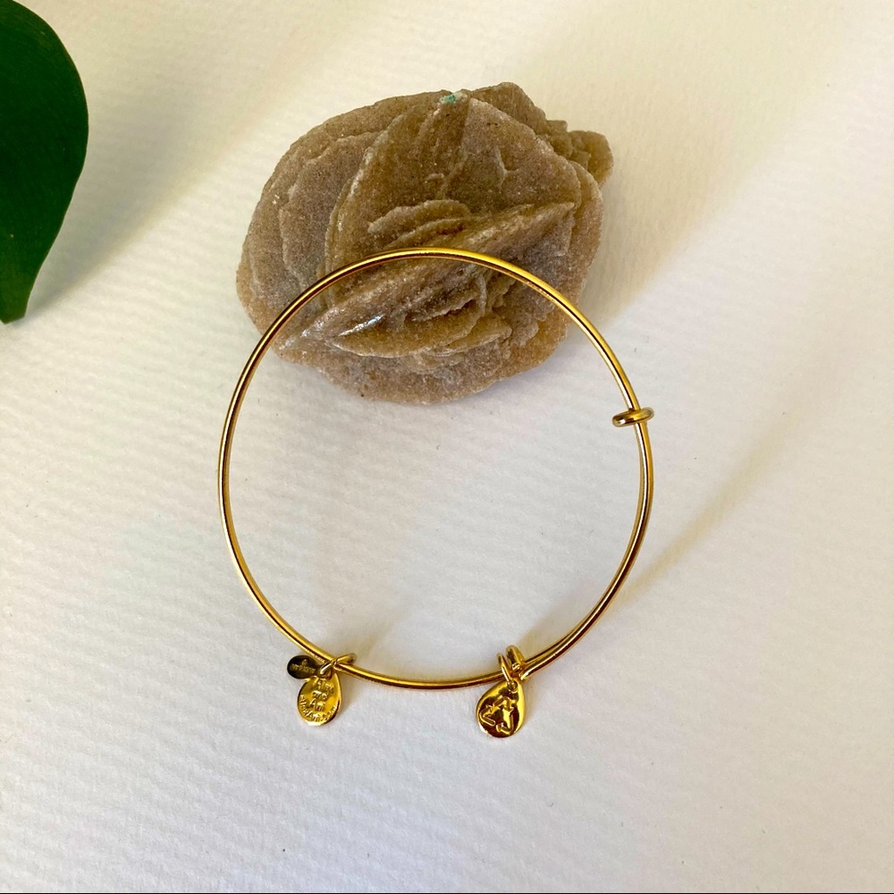 Alex and Ani Gold Minimal Charm Bangle NWOT